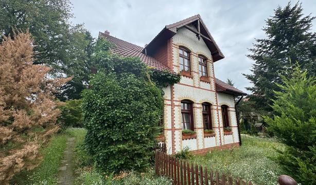 IMG-20250729-WA0037