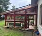 IMG-20250729-WA0019